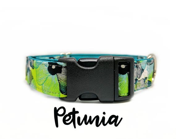 Flower Buckle Dog Collar: Floral blue and green print, teal satin lining, 1", 1.5", 2" widths available, plastic buckle, adjustable sizing