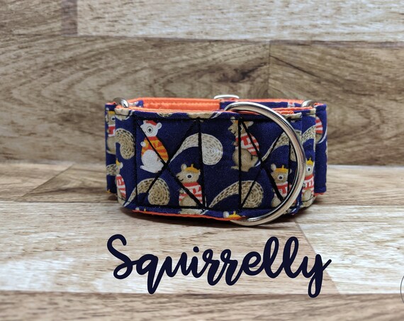 Squirrel Print Martingale dog Collar; Orange satin lined, Silver hardwares
