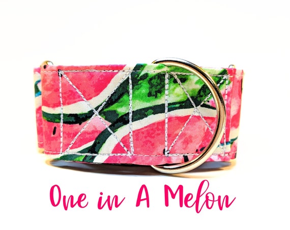 Watermelon Martingale Collar: Pink summer girly dog collar; black satin lined; silver hardwares; adjustable lengths