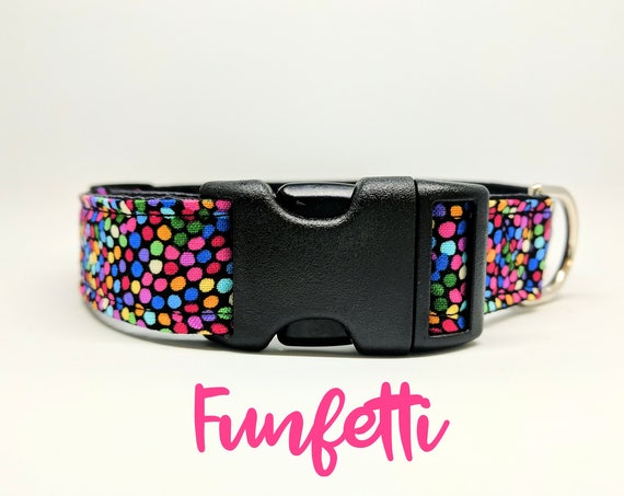Buckle Dog Collar: Rainbow Funfetti/Confetti, black satin lining, side release style, adjustable