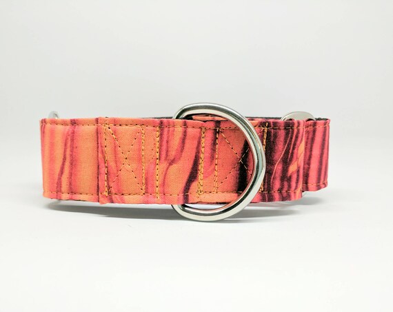 Orange Crush Collar: Martingale, Buckle Dog Collar