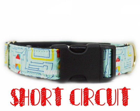 Buckle dog collar: blue Circuit board, geeky computer print; black satin lined; available in 1",1.5",2" widths, adjustable lengths
