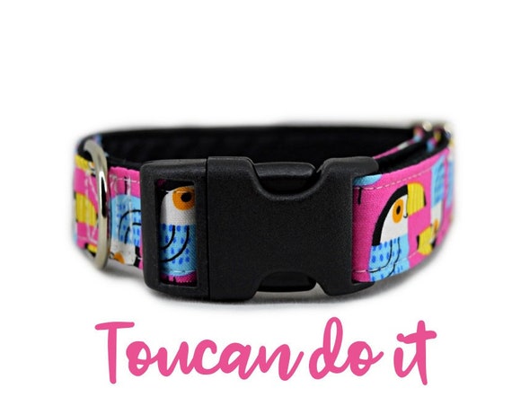 Pink Summer Dog Collar: Bright Toucan tropical bird print; satin lined; adjustable sizing; multiple widths available