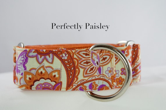 Perfectly Paisley (purple and orange): Martingale or Buckle Dog Collar