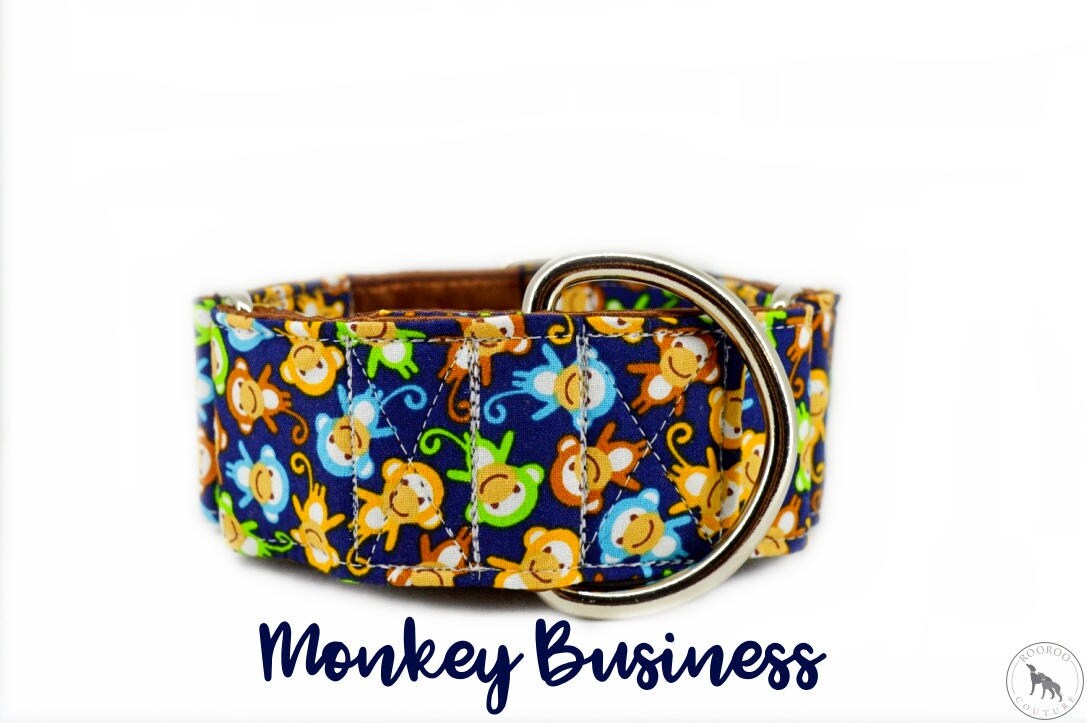 cute martingale dog collars