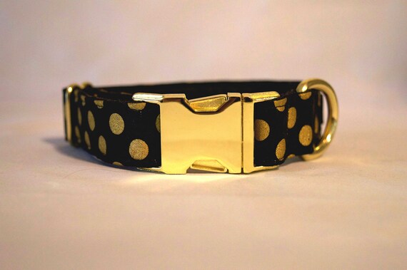 Black and Gold Polkadot Dog Collar: BRASS HARDWARE