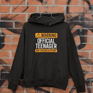 Warning Official Teenager May Contain Attitude, Unisex Teenagers Hoodie, Unisex Thirteenth Tee Gift, Teenager Hoodie, Attitude Sweatshirt