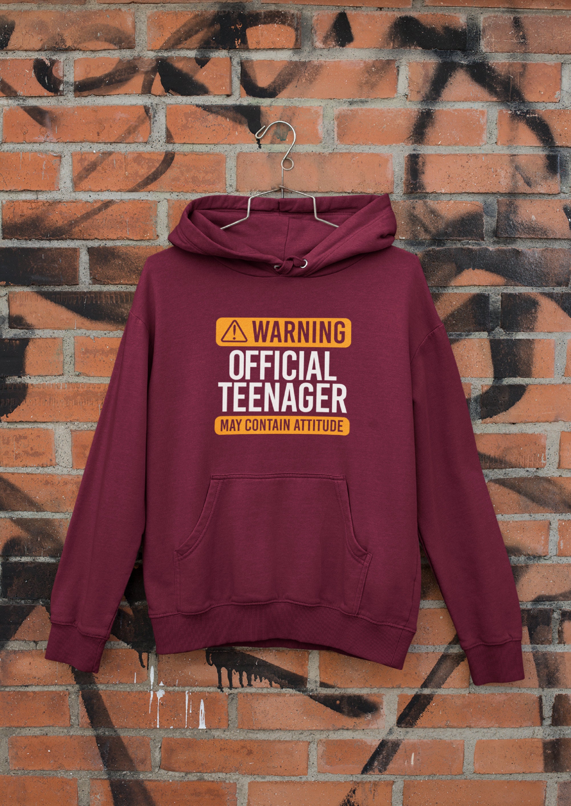 Warning Official Teen Teenager Boys Girls Unisex Hoodie Funny Hoody for Teenage Boy Girl Gift for 13 Year Old 13th Birthday Funny Slogan Etsy