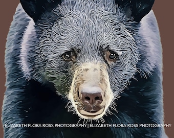 Orso nero