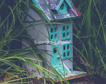 Fairy House, Fairies, Fairy Dust, Fine Art Prints, Photos