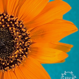 Sunflower, Sunflowers, Fine Art Prints, Flower Art, Digital Art