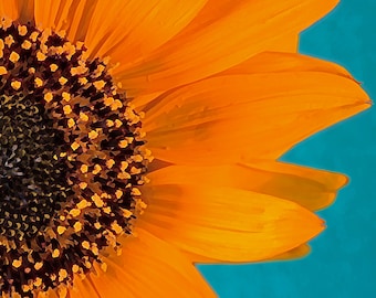 Sunflower, Sunflowers, Fine Art Prints, Flower Art, Digital Art