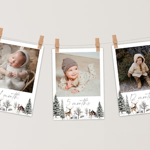 Banner editável de fotos do primeiro aniversário do Winter ONEderland. Cartões de marcos mensais do primeiro ano do bebê. Guirlanda de fotos de inverno para impressão. Festa de decoração