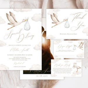 Editable Gender Neutral Stork Baby Shower Invitation Set. Special Delivery Stork Baby Shower Invite. Stork With Baby. Boho Baby Shower.