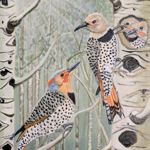 Northern Flickers, 9 x 12 Giclee print, matted Art Print, Backyard birds, Bird Art, Pacific Northwest Bird art, Flicker Art, woodpecker art