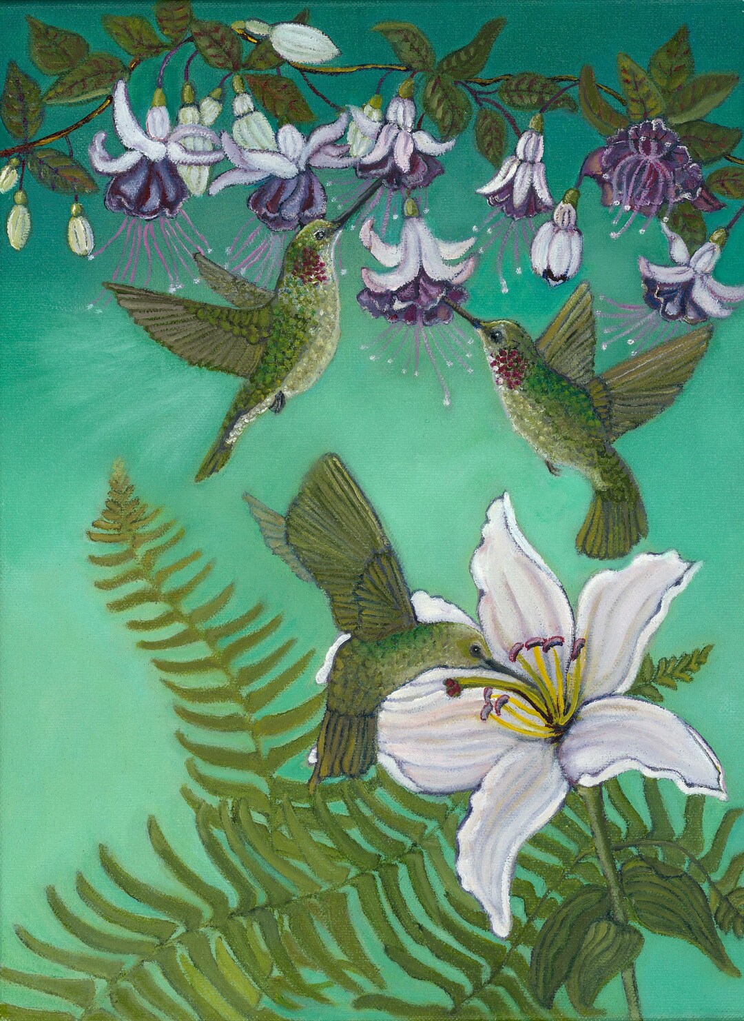 Anna's Hummingbird Giclee Art Print 9 X 12 " Backyard Birds, Bird Art ...