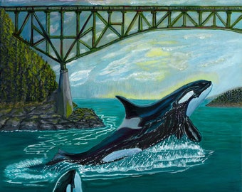 Killer Whale Giclee Art Print 11 x 14 Orca Southern Resident Tokitae Lolita Deception Pass Bridge Includes Orca Whale Donation