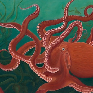 Canvas Print  16 x 24 Giant Pacific Octopus Salish Sea, Pacific Ocean Art, underwater, Red Octopus, Octopus wall art, Coastal Art