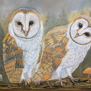 Barn Owl Pair Fine Art, 11 x 14 Fine Giclee Print, Owl Art, Wall Art, Bird Art, 16 x 20 owl print, mushrooms
