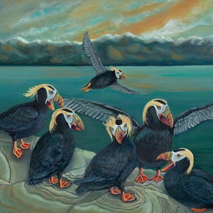 Tufted Puffin, Puffin, Art Print, Giclee Print 11 x 14" Seabirds, Salish Sea, Endangered Species
