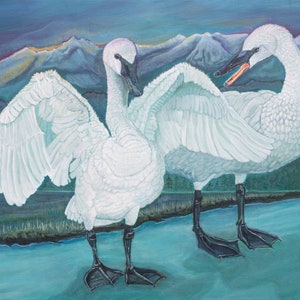 Original painting, Trumpeter Swans, Pacific Northwest Bird Art, Winter Scene, Skagit Valley, Swans wall art 20 x 24&quot;