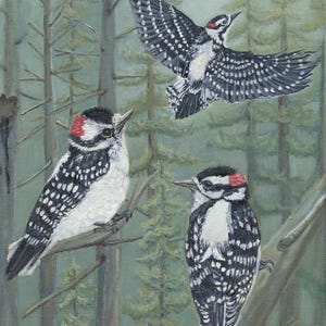 Downy Woodpecker Trio original oil painting in frame, 9 x 12, Woodpeckers, Bird Art, Pacific Northwest Birds, original Woodpecker Art
