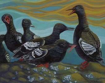 Pigeon Guillemots, 12 x 9" Giclee Art Print, Wall Art, Coastal Sea Birds,  Pacific Coast, Puget Sound, Salish Sea