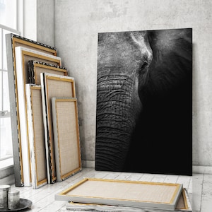 Elephant print canvas, Elephants decorations for living room walls, Big Wild Animals artwork, Elephant black and white decor wall