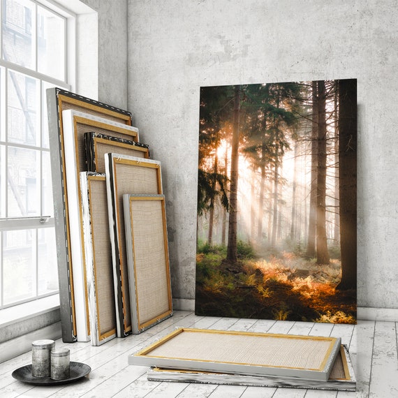 Online Decor Decor Trees Art Trees Forest Through Buy Wall India Nature Print Forest Wall Sunlight Prints, in Decor, Forest Art, - Home Canvas, the Etsy Wall Painting,