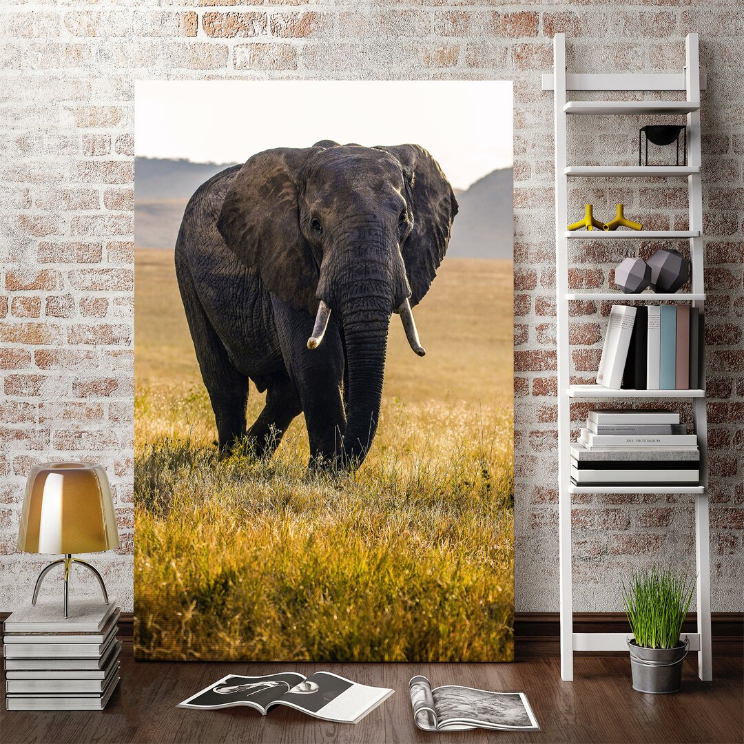 Canvas Art of Elephant, Elephant Artwork for Office, Wild Animal Modern ...