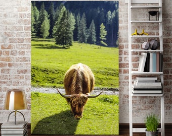 Calendario delle mucche delle Highland, calendario degli animali della vasca da bagno