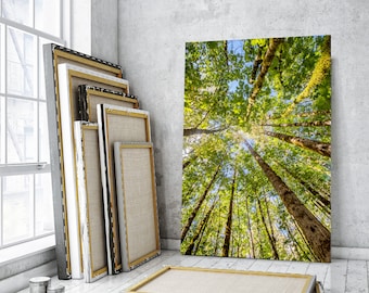 Cuadro decorativo de bosque en lienzo, estampado de dosel de árboles verdes para la decoración del dormitorio o la oficina.