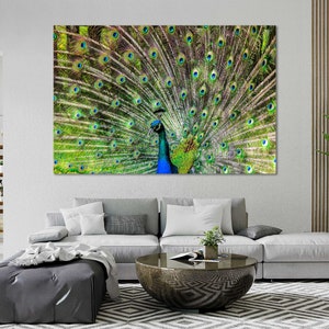 Large Peacock Canvas Print Wall Art Peacock Wall Art Peacock Canvas Peacock Poster Peacock Print Peacock Wall Decor Peacock Photo