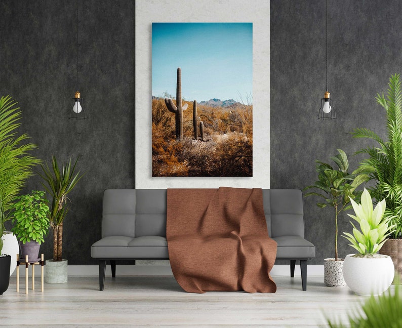 May include: A photograph of a desert landscape with three tall cacti in the foreground. The cacti are brown and green and are set against a blue sky with white clouds. The photo is framed and hanging on a wall in a living room setting.