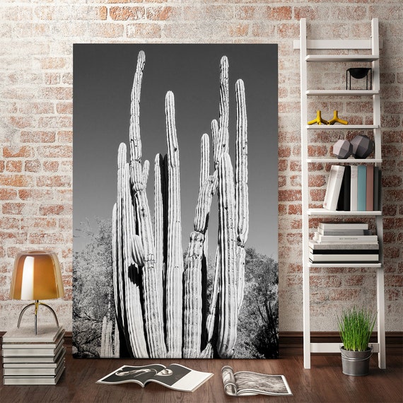 Cactus en la decoración de la pared del desierto y acentos del hogar, arte  de la