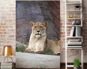 Canvas art of Lioness, Lioness framed wall pictures, Wild Animal art printing on canvas, Lion original decor, Lion picture print canvas