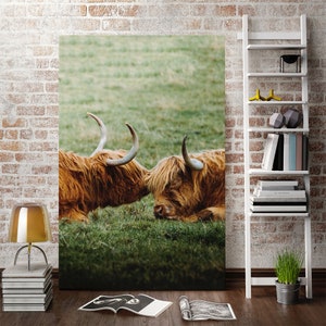Highland Cow Painting Wall Art Decoration Farmhouse Large Wall Art Highland Cow Print Rustic Wall Decor Texas Longhorn Canvas Art Print