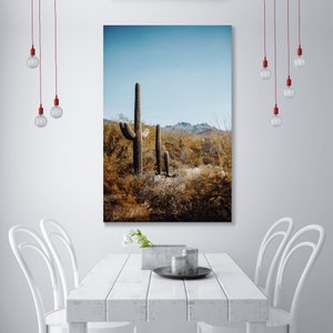 May include: A photograph of a desert landscape with three tall cacti in the foreground. The sky is blue and the ground is covered in brown brush.