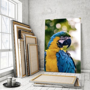 Macaw Parrot Wall Painting Art, Parrot Original Wall Decor, Macaw Parrot Vertical Art for Wall Decor, Parrot Art for Gift, Parrot Canvas Art