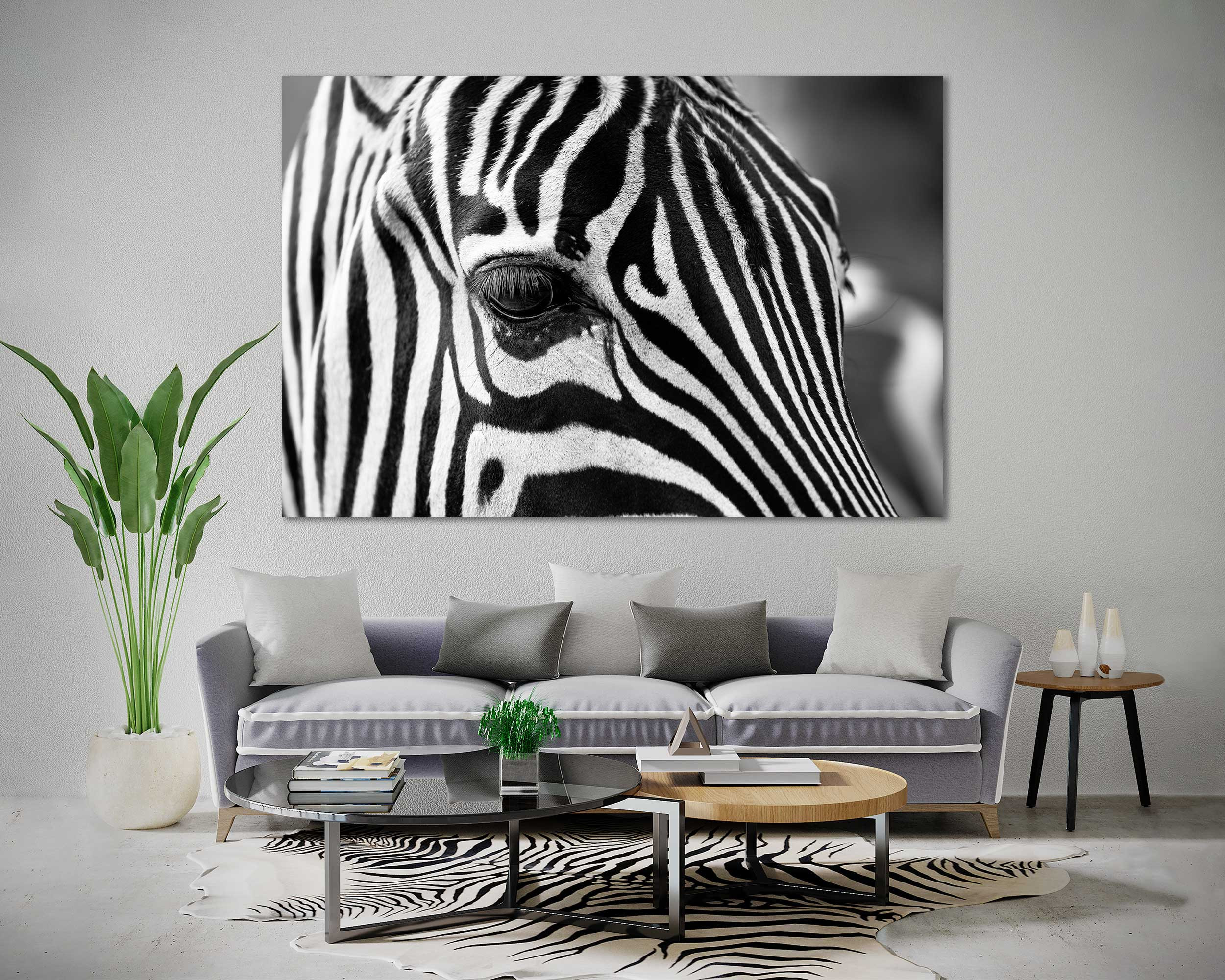 Zebra wall art deals