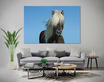 Black and White Horse Canvas Wall Art, Equine Photography, Rustic Farmhouse Decor