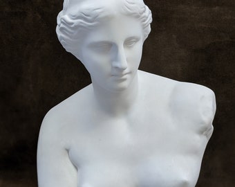 Venus plaster bust