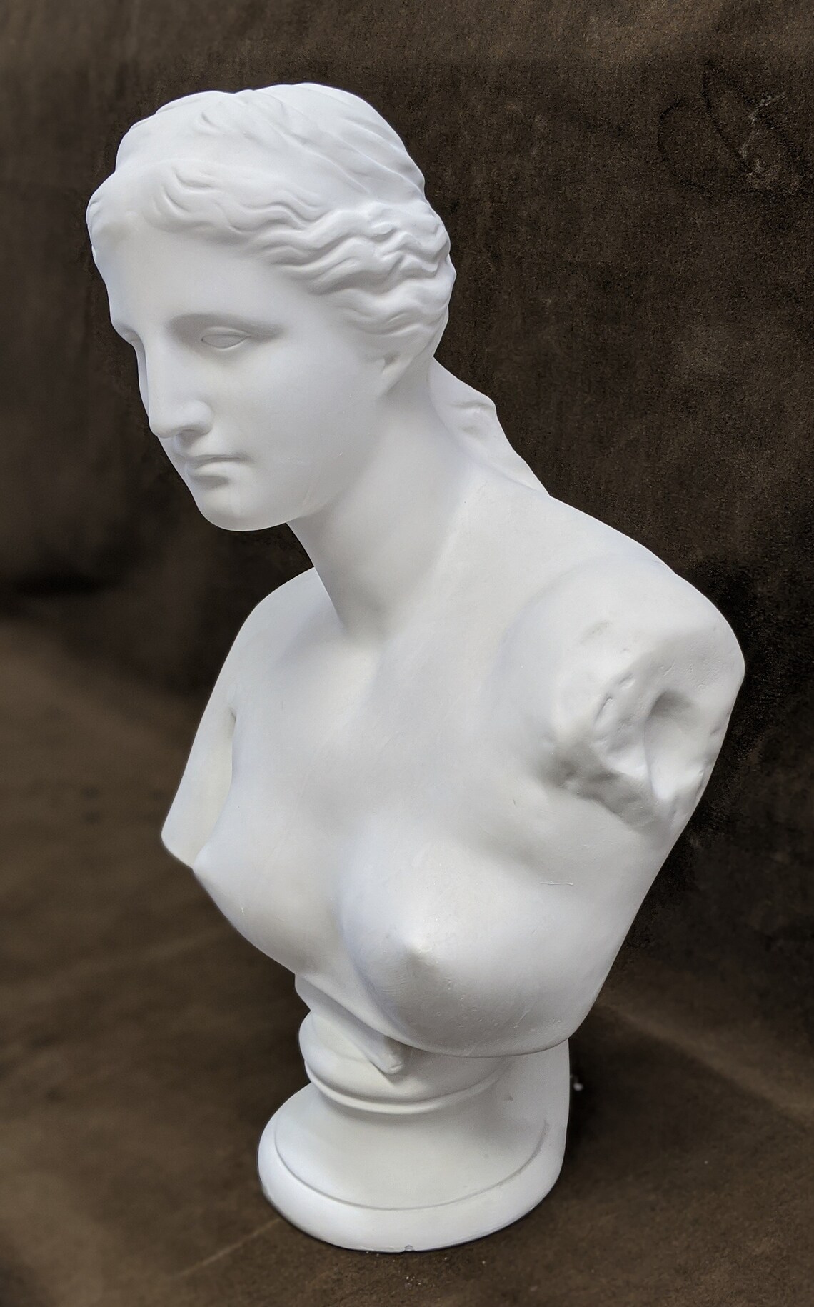 Venus Plaster Bust Etsy