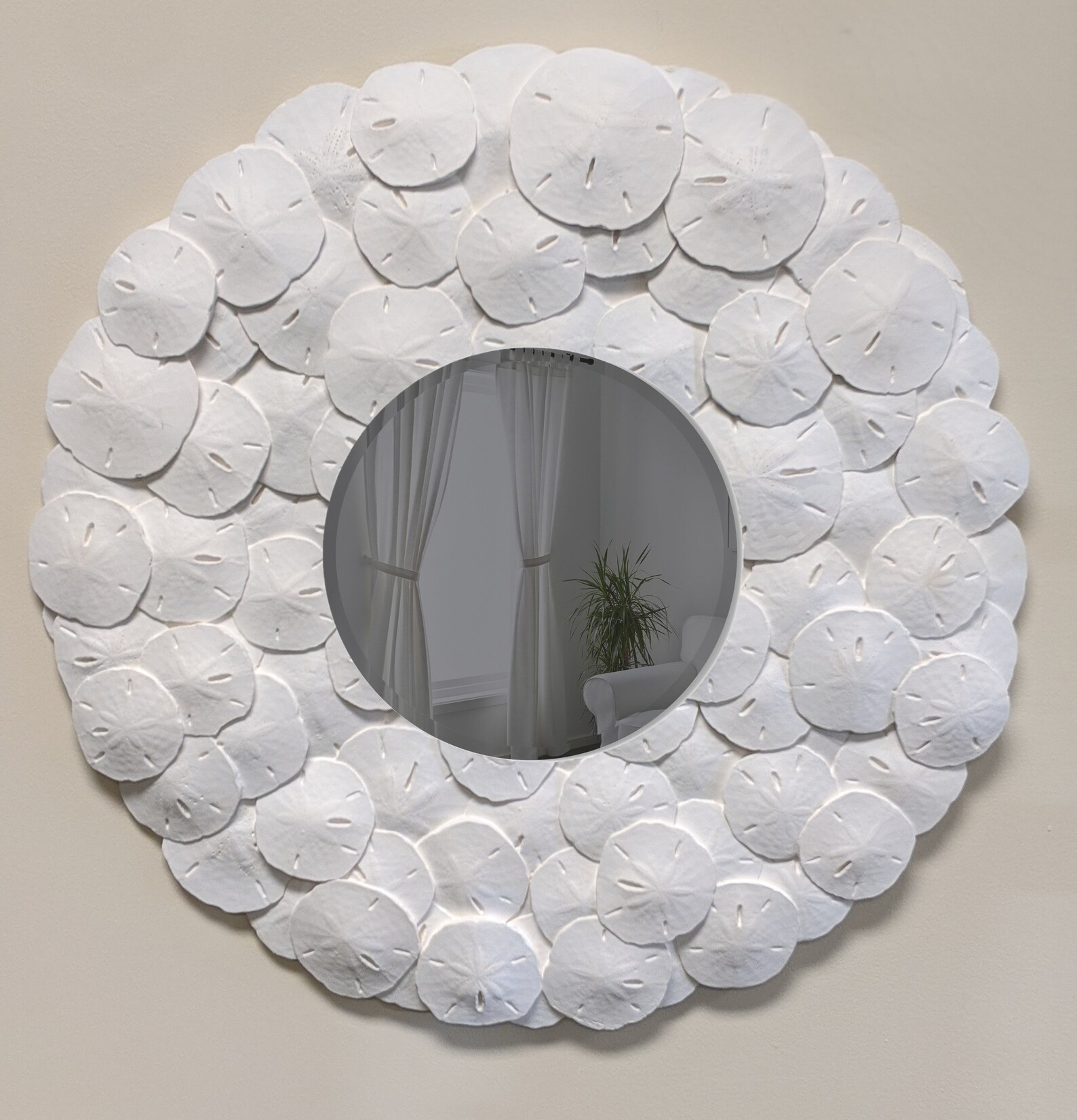 Sand Dollar Mirror Etsy