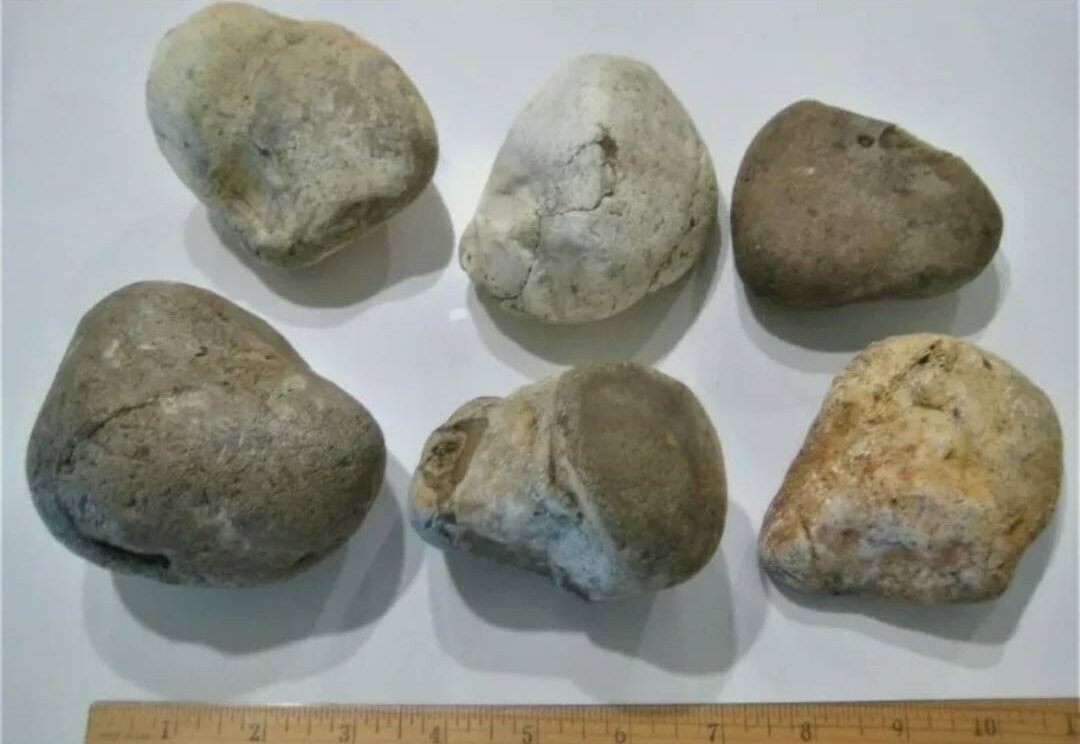 Texas Primo Thin Chert Flint - Knapping Material For Arrowheads (Flat Rate Box)