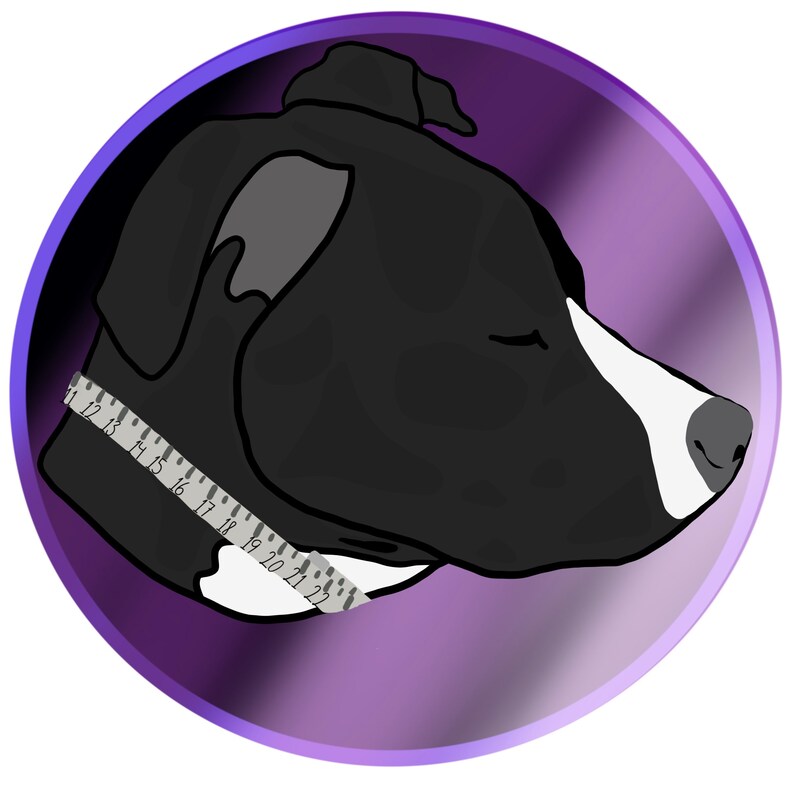 May include: A black and white dog's head with its eyes closed, wearing a measuring tape around its neck. The dog's head is on a purple background.