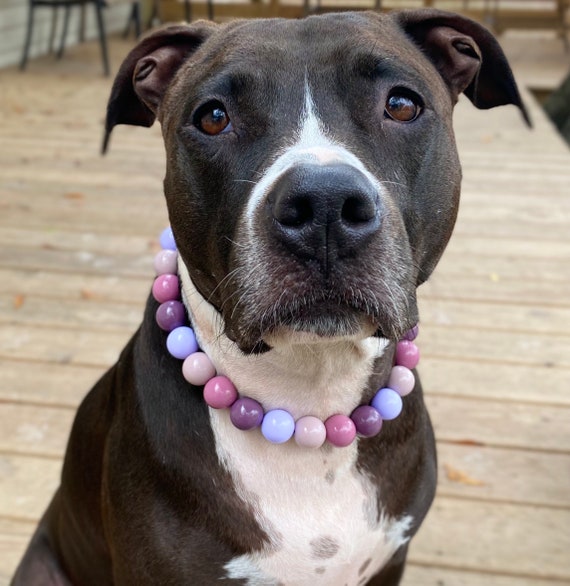 Buy Love Letter, Acrylic Bead Collar, Beaded Dog Collar, Neutrals, Soft  Colors, Slip On, Durable Collar, Beaded Collar, Bead Collar Online in India  - Etsy