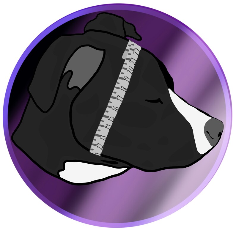 May include: A black and white dog's head is being measured with a tape measure. The dog's head is in profile and the tape measure is wrapped around its head. The background is a purple gradient.