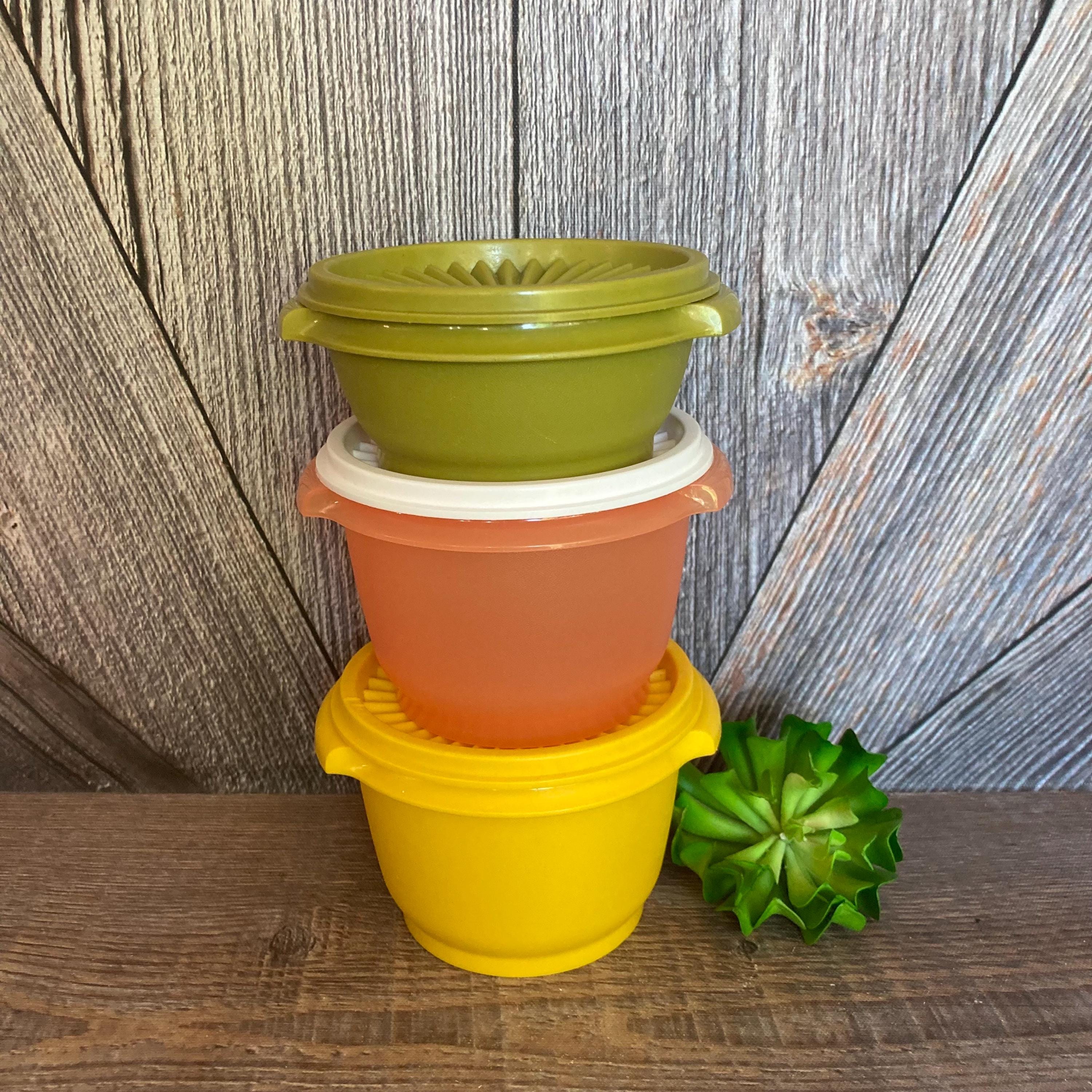 3 Vintage Tupperware Servalier Bowl Set Plastic Round Fall 70s