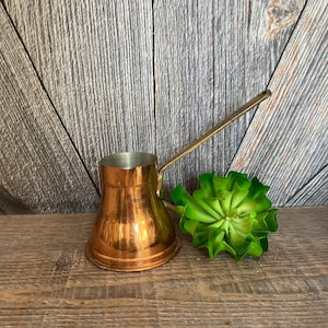 May include: A copper and brass Turkish coffee pot with a long handle. The pot is sitting on a wooden surface next to a green succulent.
